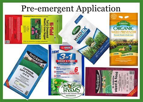 Pre emergent for lawns. Things To Know About Pre emergent for lawns. 